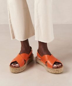 Cvbhaitao.shop0f35e4a643 2