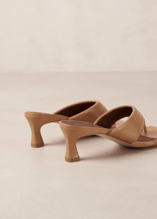 Cvbhaitao.shop11d0a0e35f 7