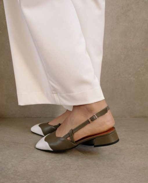 Cvbhaitao.shop179e80396f 1