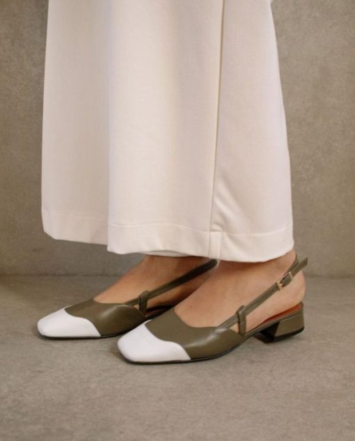 Cvbhaitao.shop179e80396f 5