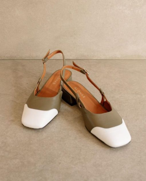 Cvbhaitao.shop179e80396f 9
