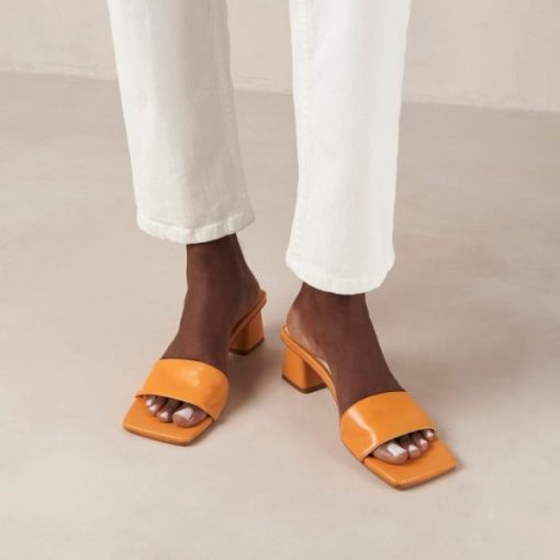 Cvbhaitao.shop2240ad0ed5 2