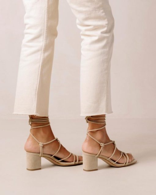 Cvbhaitao.shop2e8ff1c268 1