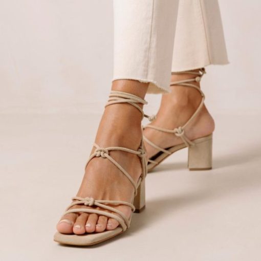 Cvbhaitao.shop2e8ff1c268 2