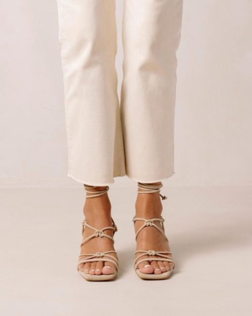Cvbhaitao.shop2e8ff1c268 3