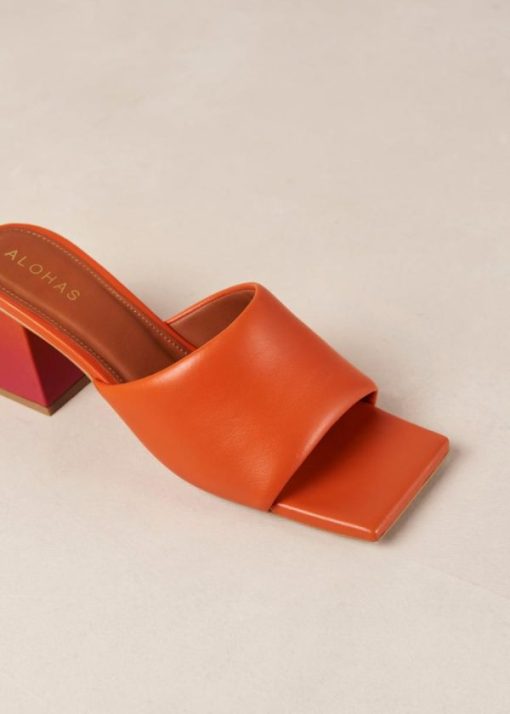 Cvbhaitao.shop2f644598d9 6