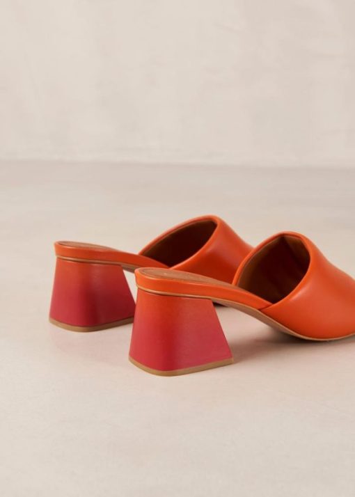Cvbhaitao.shop2f644598d9 7