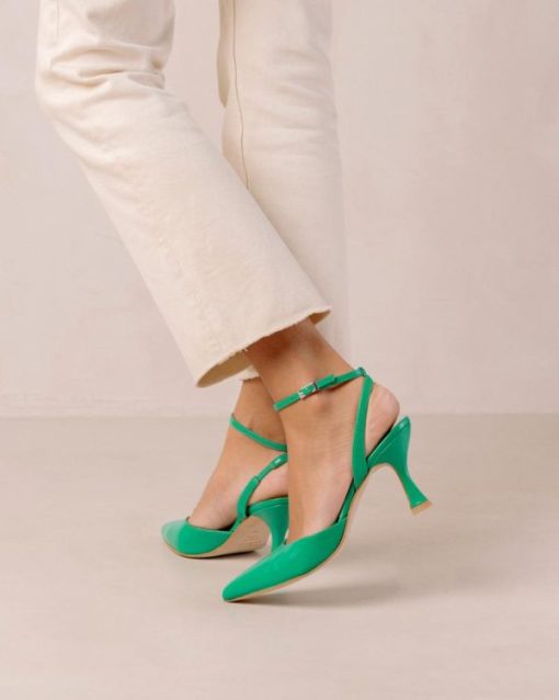 Cvbhaitao.shop2fb06f2f81 1