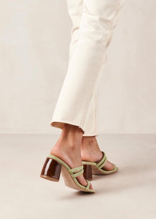 Cvbhaitao.shop3087db5c3e 1