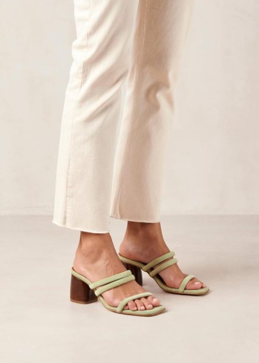 Cvbhaitao.shop3087db5c3e 4