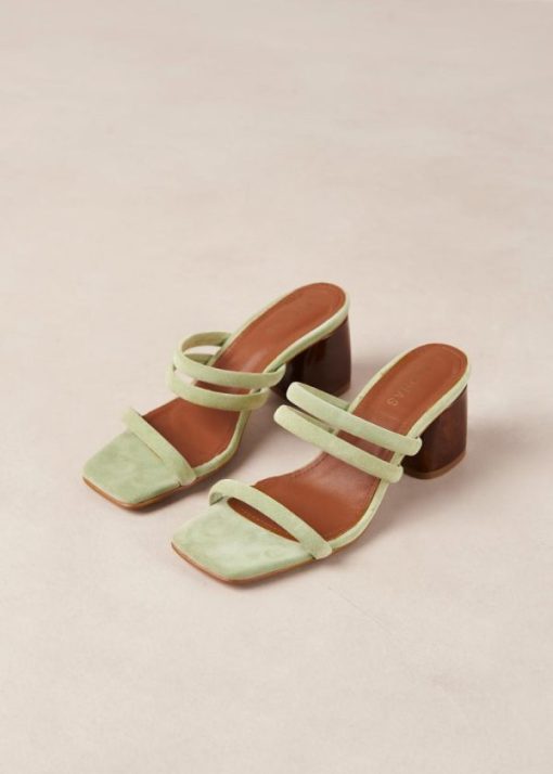 Cvbhaitao.shop3087db5c3e 6
