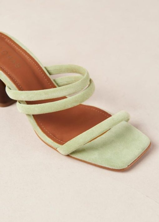 Cvbhaitao.shop3087db5c3e 7