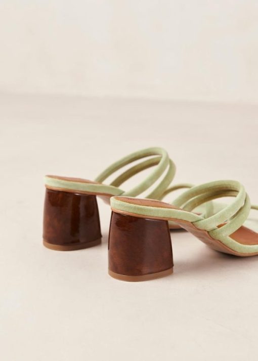 Cvbhaitao.shop3087db5c3e 8