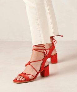 Cvbhaitao.shop32770602da 2