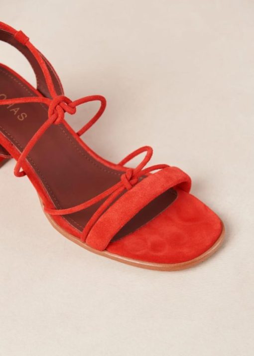 Cvbhaitao.shop32770602da 7