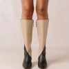 Cvbhaitao.shop3964153d44 3