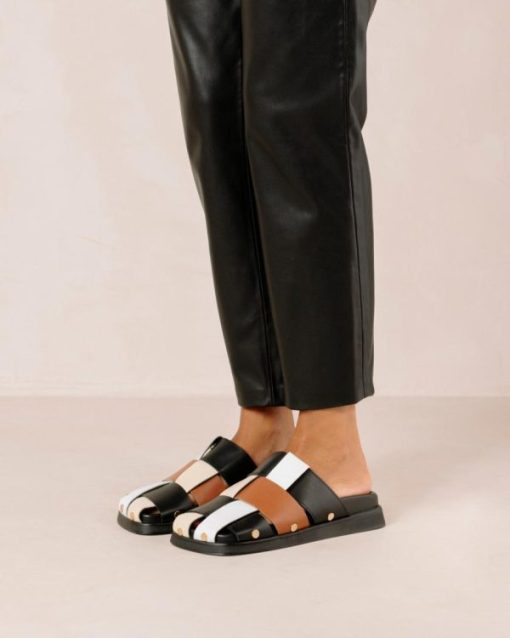 Cvbhaitao.shop3ae1505193 6