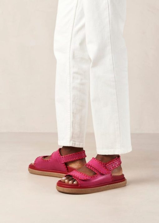 Cvbhaitao.shop3fc26749cc 1