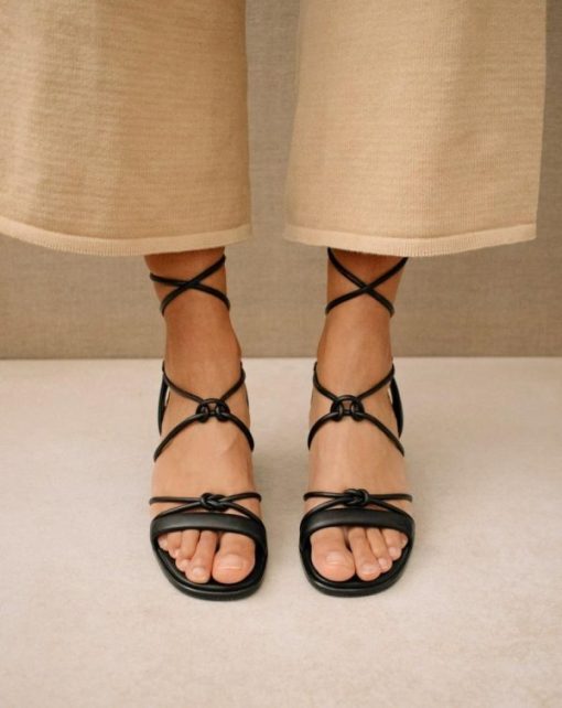 Cvbhaitao.shop527fe9565e 1