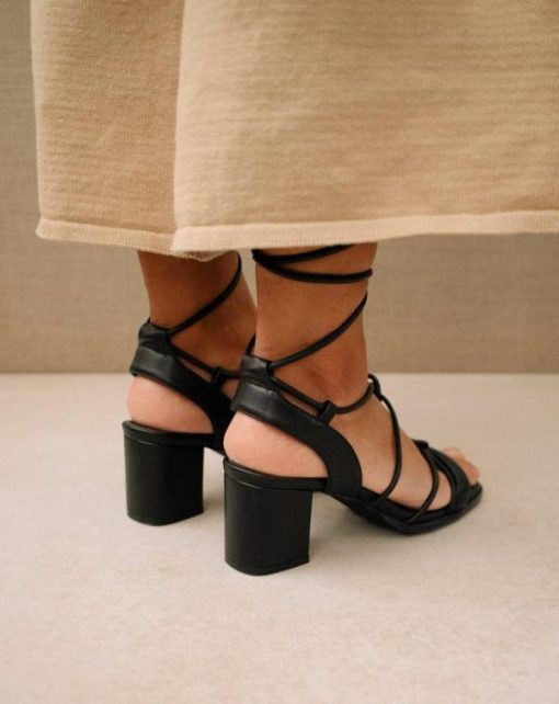 Cvbhaitao.shop527fe9565e 4