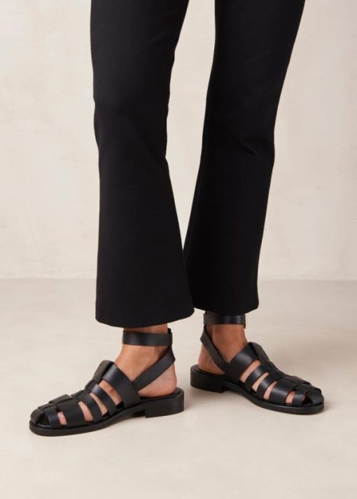 Cvbhaitao.shop57c9dcdfe9 1