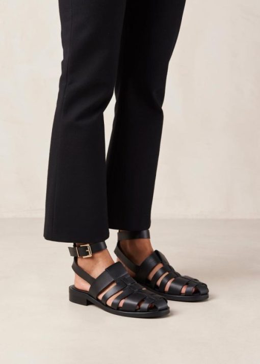 Cvbhaitao.shop57c9dcdfe9 3