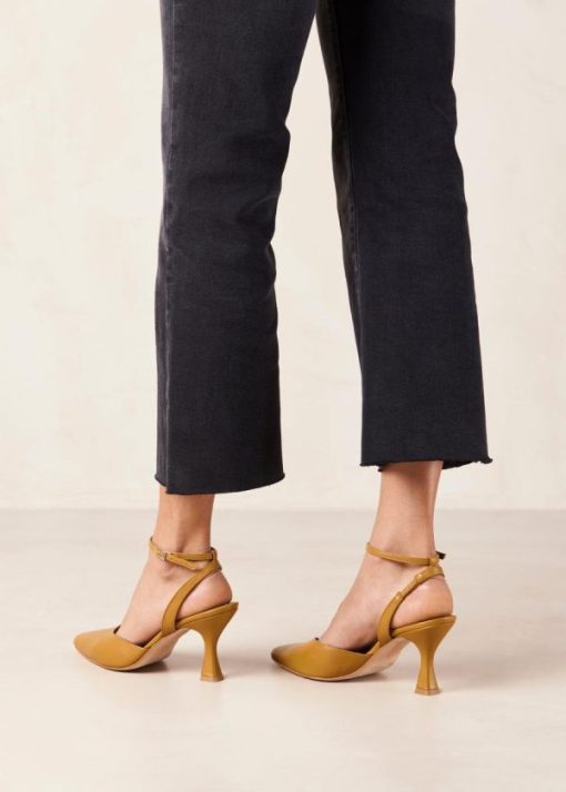 Cvbhaitao.shop68a4857fa2 3