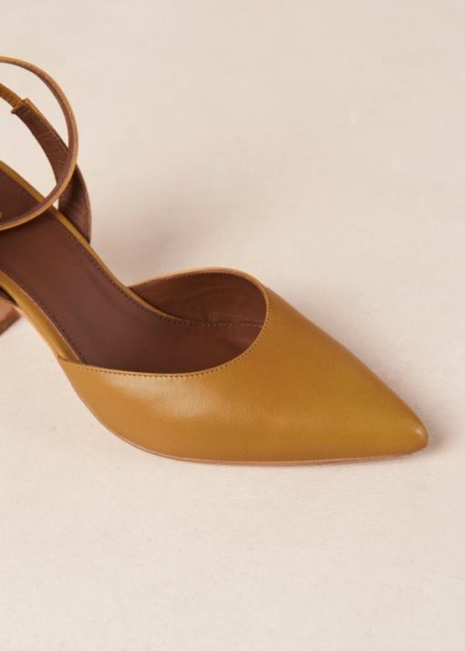 Cvbhaitao.shop68a4857fa2 6