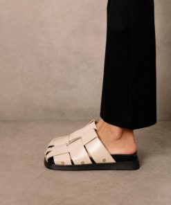 Cvbhaitao.shop6b0b2434f4 1