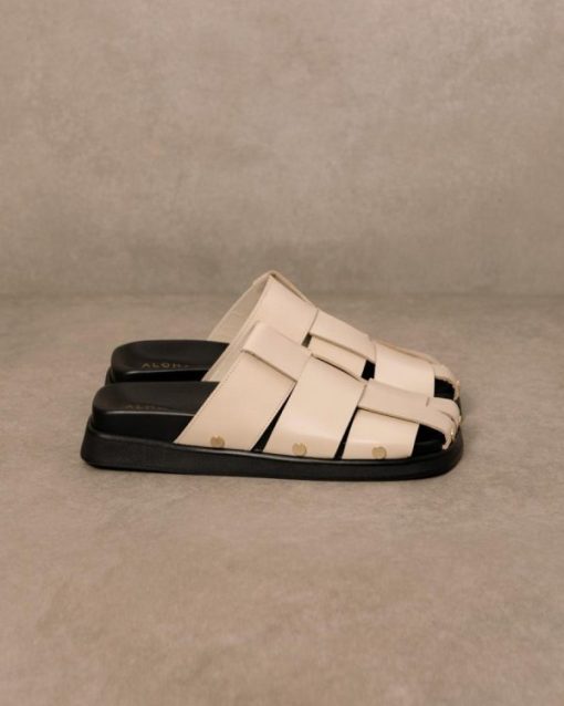 Cvbhaitao.shop6b0b2434f4 2