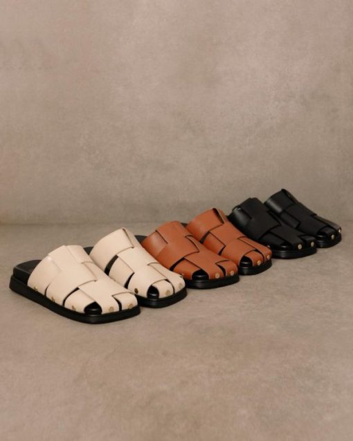 Cvbhaitao.shop6b0b2434f4 3