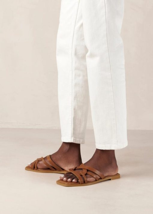 Cvbhaitao.shop6c3c184d05 4