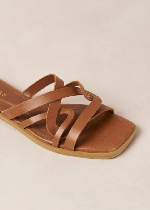 Cvbhaitao.shop6c3c184d05 6