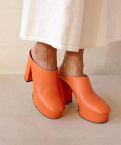 Cvbhaitao.shop79f2b19706 1