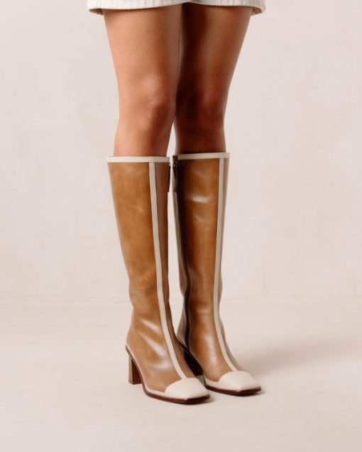 Cvbhaitao.shop805efbeac7 12