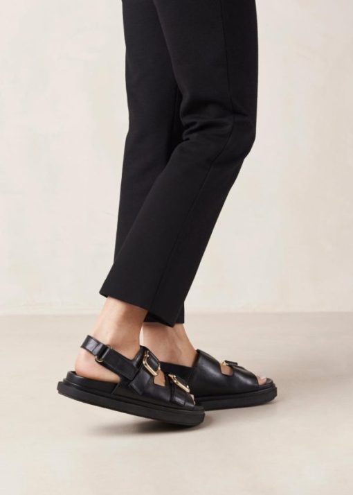 Cvbhaitao.shop8858b4bbc8 3