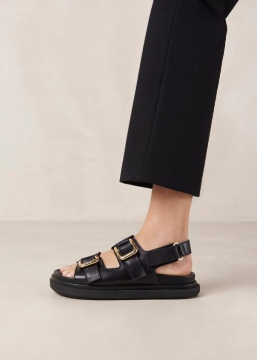 Cvbhaitao.shop8858b4bbc8 4
