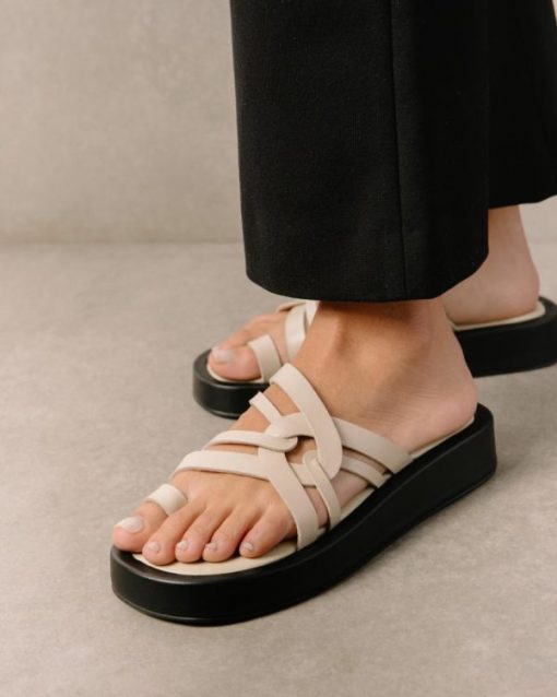 Cvbhaitao.shop8f3326f877 1
