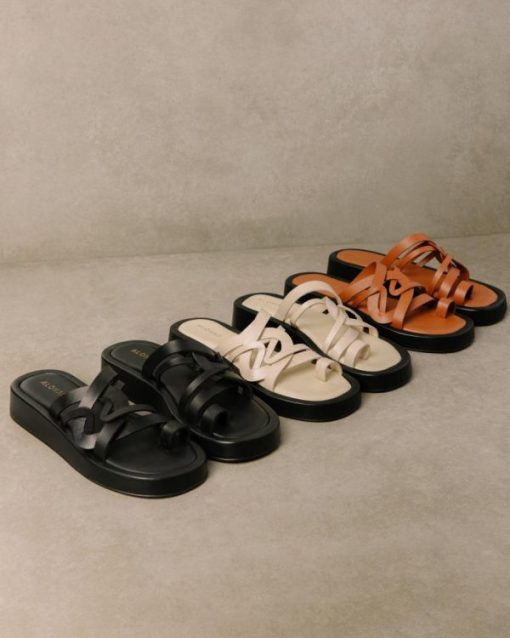 Cvbhaitao.shop8f3326f877 2