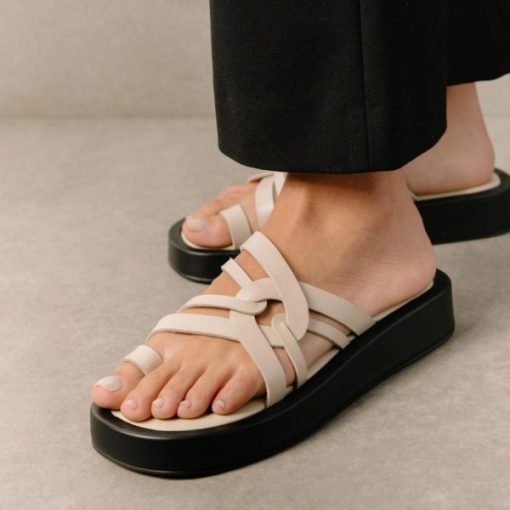 Cvbhaitao.shop8f3326f877 3