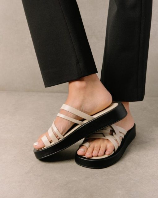 Cvbhaitao.shop8f3326f877 4