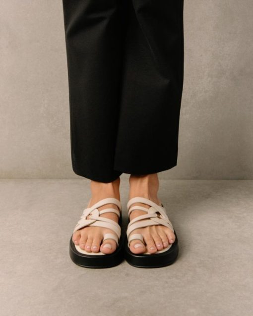 Cvbhaitao.shop8f3326f877 5