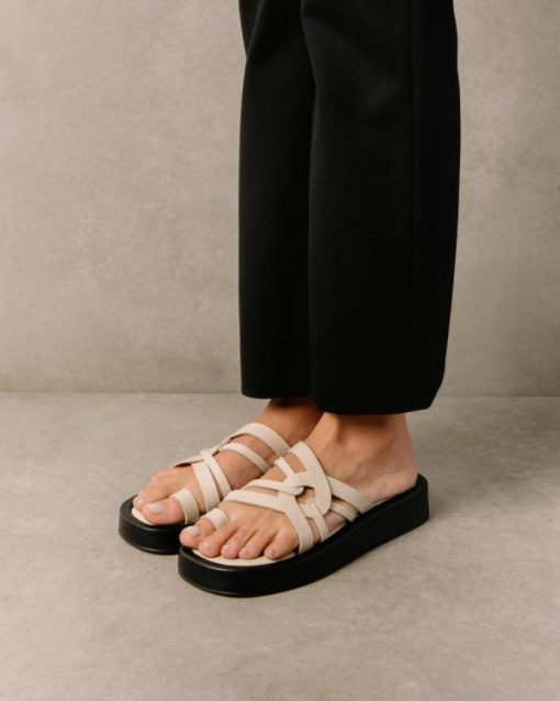 Cvbhaitao.shop8f3326f877 6