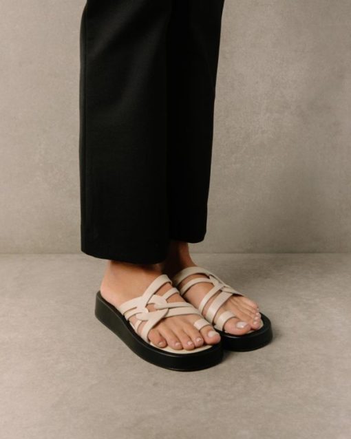 Cvbhaitao.shop8f3326f877 8