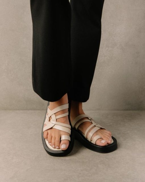 Cvbhaitao.shop8f3326f877 9