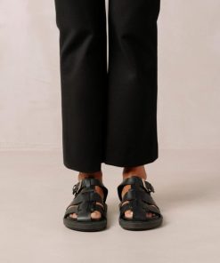 Cvbhaitao.shop923d2b7f32 1