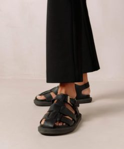 Cvbhaitao.shop923d2b7f32 2