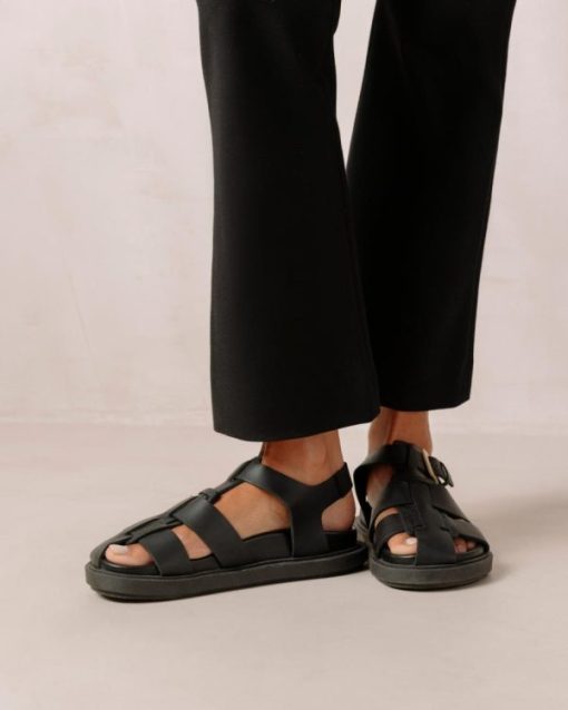 Cvbhaitao.shop923d2b7f32 3