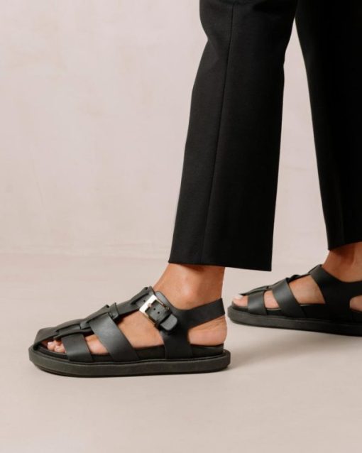Cvbhaitao.shop923d2b7f32 4