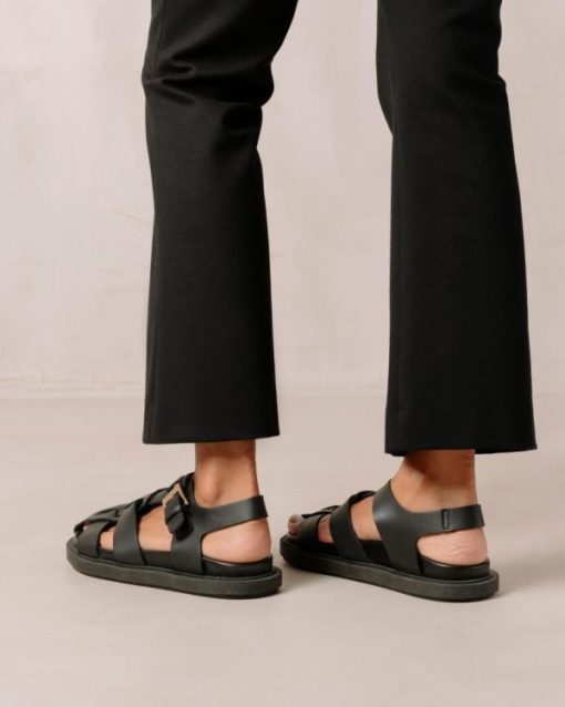 Cvbhaitao.shop923d2b7f32 6
